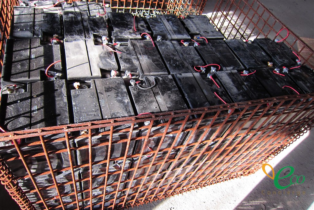 パレットに並べて入れられた状態です。荷崩れしにくい積み方かどうかも、受け入れの準備に関わります。