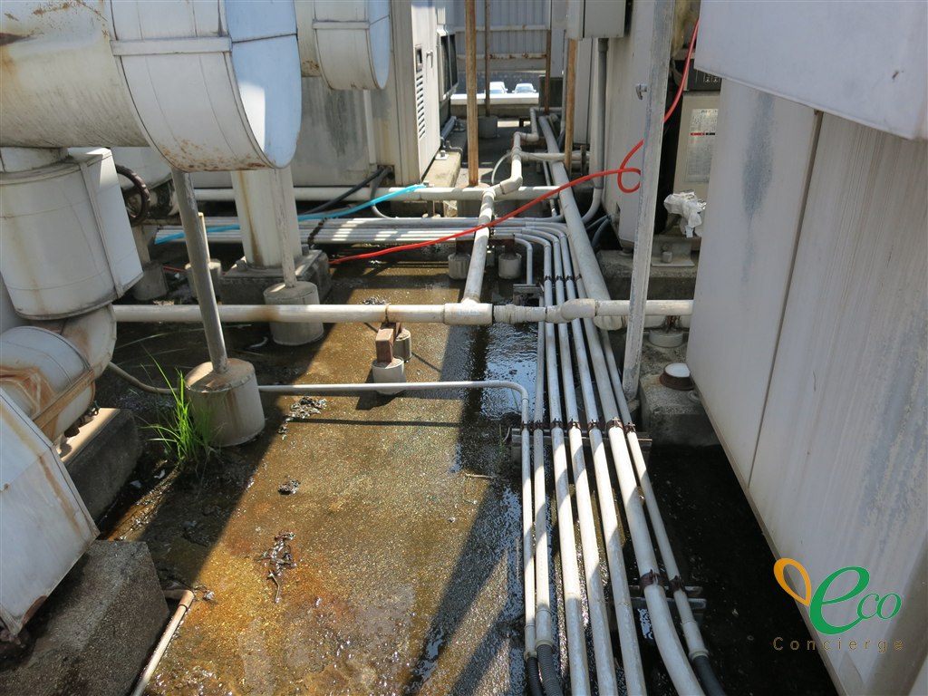 設備のまわりは、配管と電線管が床を這っています。搬出の経路は、この隙間の幅にも左右されます。現場作業は協力会社が行います。